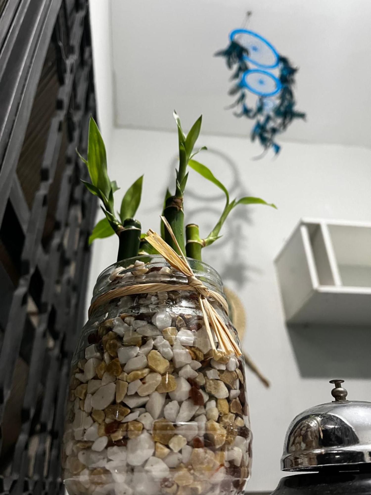 Center Hostel Sp サンパウロ エクステリア 写真